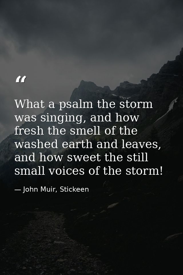 What a psalm the storm was singing, and how fresh the smell of the washed earth and leaves, and how sweet the still smal — John Muir, Stickeen