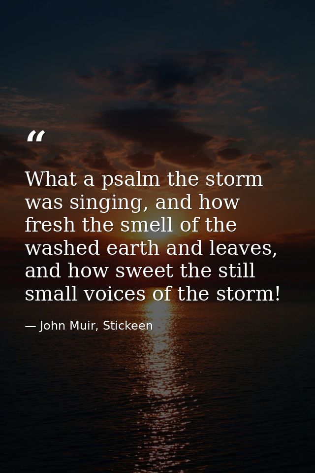 What a psalm the storm was singing, and how fresh the smell of the washed earth and leaves, and how sweet the still smal — John Muir, Stickeen