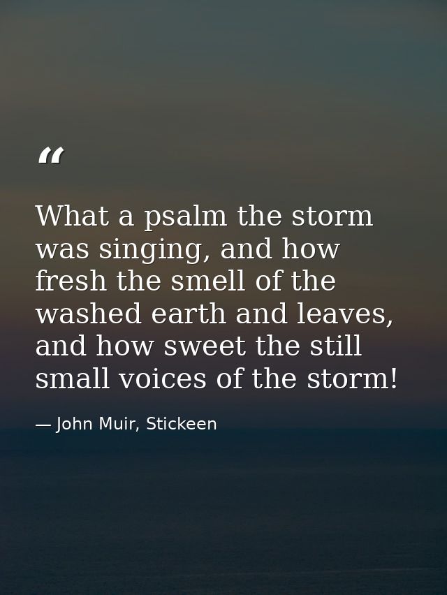 What a psalm the storm was singing, and how fresh the smell of the washed earth and leaves, and how sweet the still smal — John Muir, Stickeen