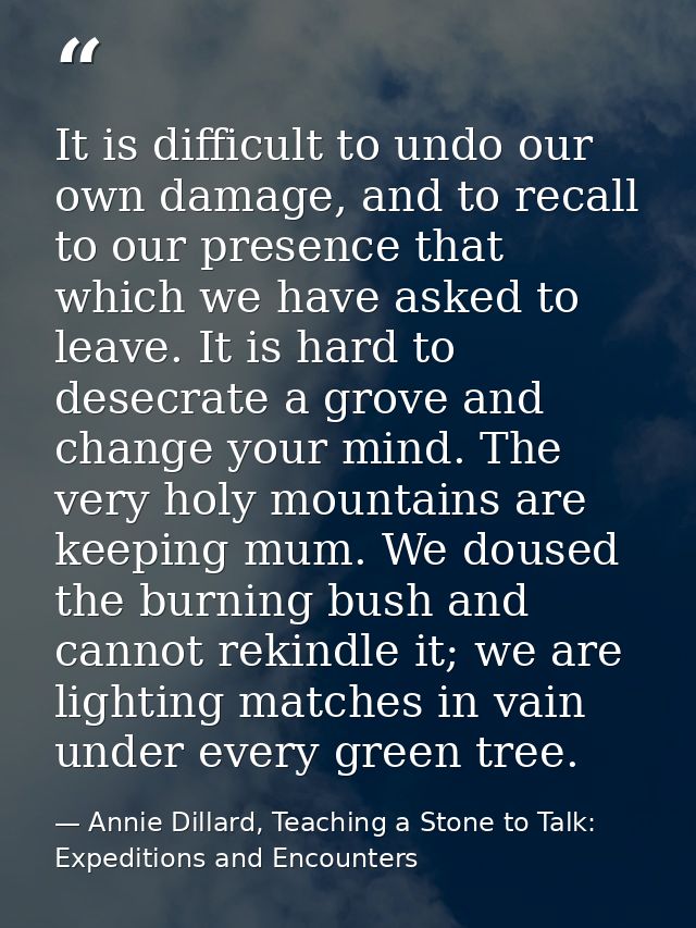 It is difficult to undo our own damage, and to recall to our presence that which we have asked to leave. It is hard to d — Annie Dillard, Teaching a Stone to Talk: Expeditions and Encounters