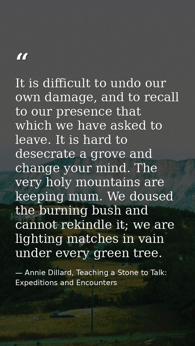 It is difficult to undo our own damage, and to recall to our presence that which we have asked to leave. It is hard to d — Annie Dillard, Teaching a Stone to Talk: Expeditions and Encounters