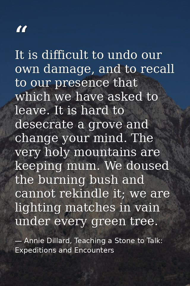 It is difficult to undo our own damage, and to recall to our presence that which we have asked to leave. It is hard to d — Annie Dillard, Teaching a Stone to Talk: Expeditions and Encounters