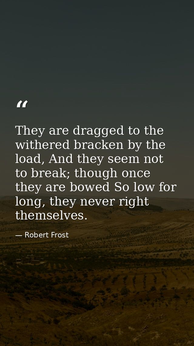 They are dragged to the withered bracken by the load, And they seem not to break; though once they are bowed So low for  — Robert Frost