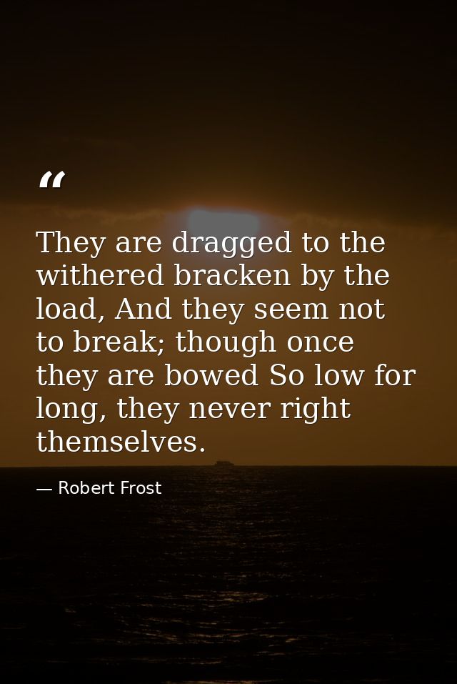 They are dragged to the withered bracken by the load, And they seem not to break; though once they are bowed So low for  — Robert Frost