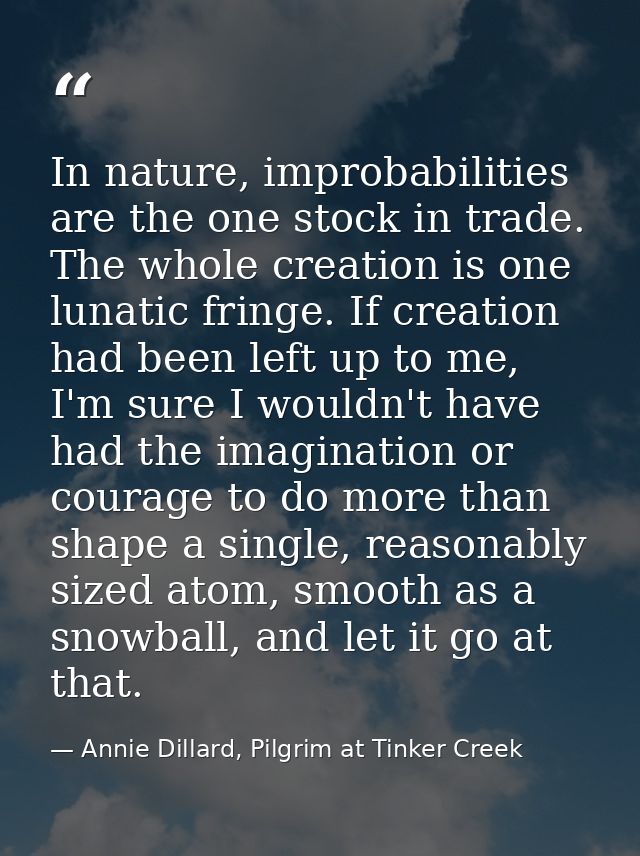In nature, improbabilities are the one stock in trade. The whole creation is one lunatic fringe. If creation had been le — Annie Dillard, Pilgrim at Tinker Creek