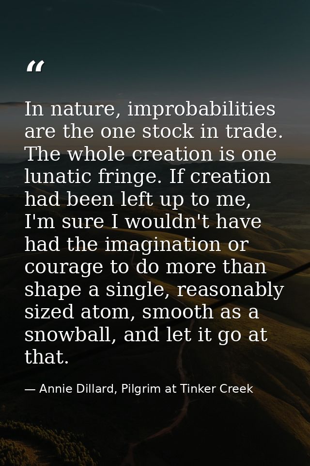 In nature, improbabilities are the one stock in trade. The whole creation is one lunatic fringe. If creation had been le — Annie Dillard, Pilgrim at Tinker Creek