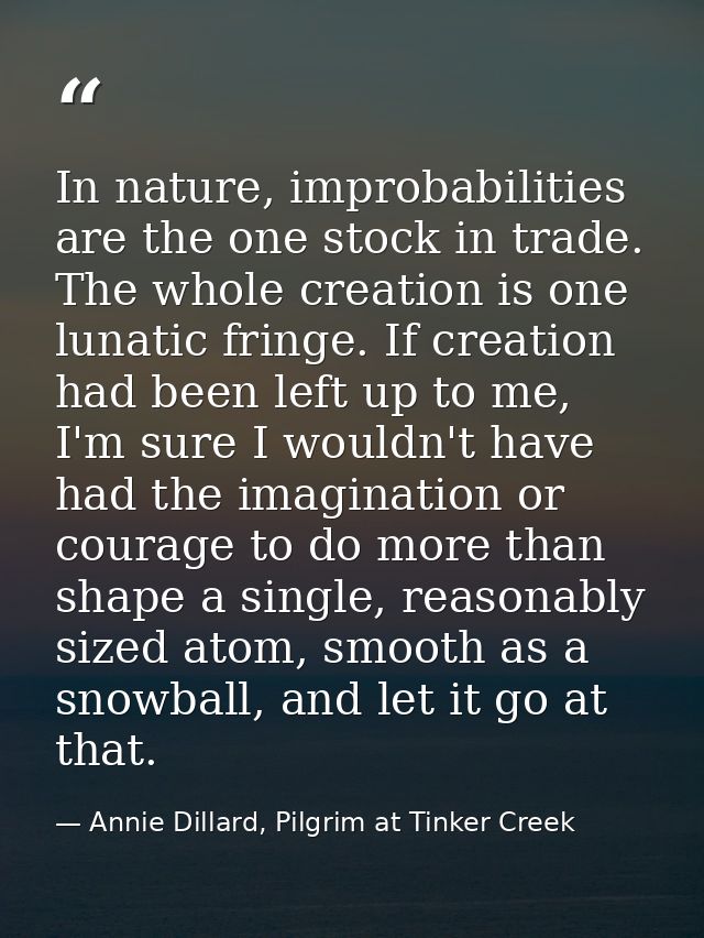 In nature, improbabilities are the one stock in trade. The whole creation is one lunatic fringe. If creation had been le — Annie Dillard, Pilgrim at Tinker Creek