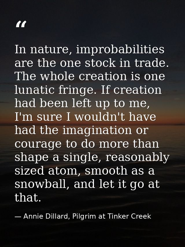 In nature, improbabilities are the one stock in trade. The whole creation is one lunatic fringe. If creation had been le — Annie Dillard, Pilgrim at Tinker Creek