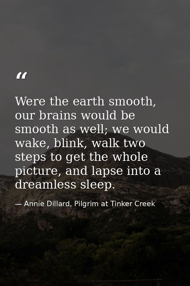 Were the earth smooth, our brains would be smooth as well; we would wake, blink, walk two steps to get the whole picture — Annie Dillard, Pilgrim at Tinker Creek