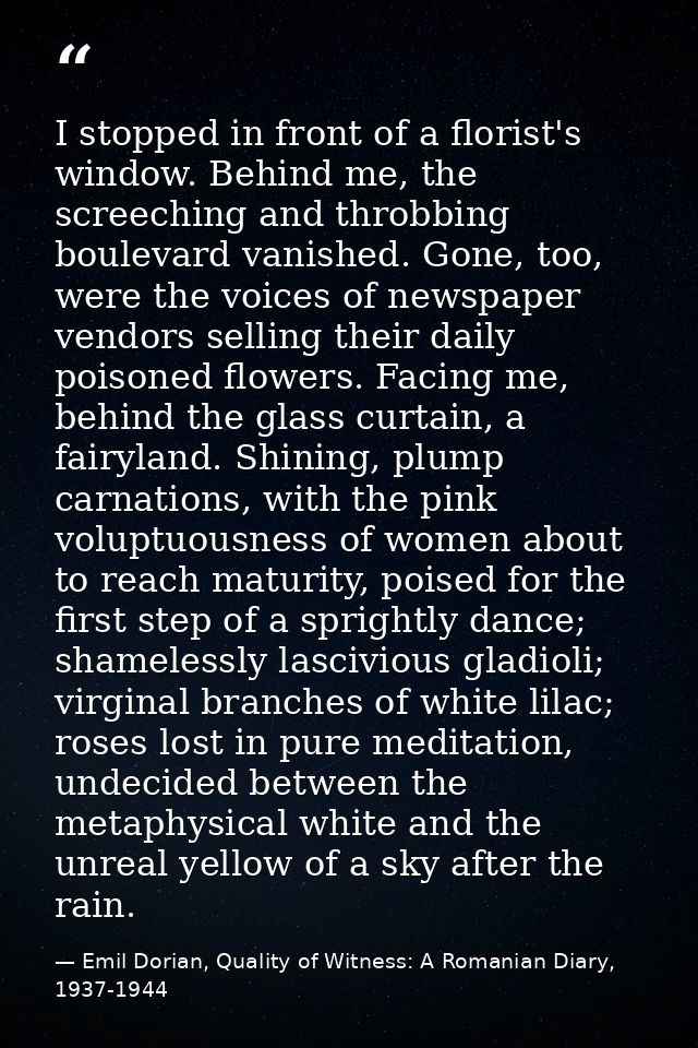 I stopped in front of a florist's window. Behind me, the screeching and throbbing boulevard vanished. Gone, too, were th — Emil Dorian, Quality of Witness: A Romanian Diary, 1937-1944