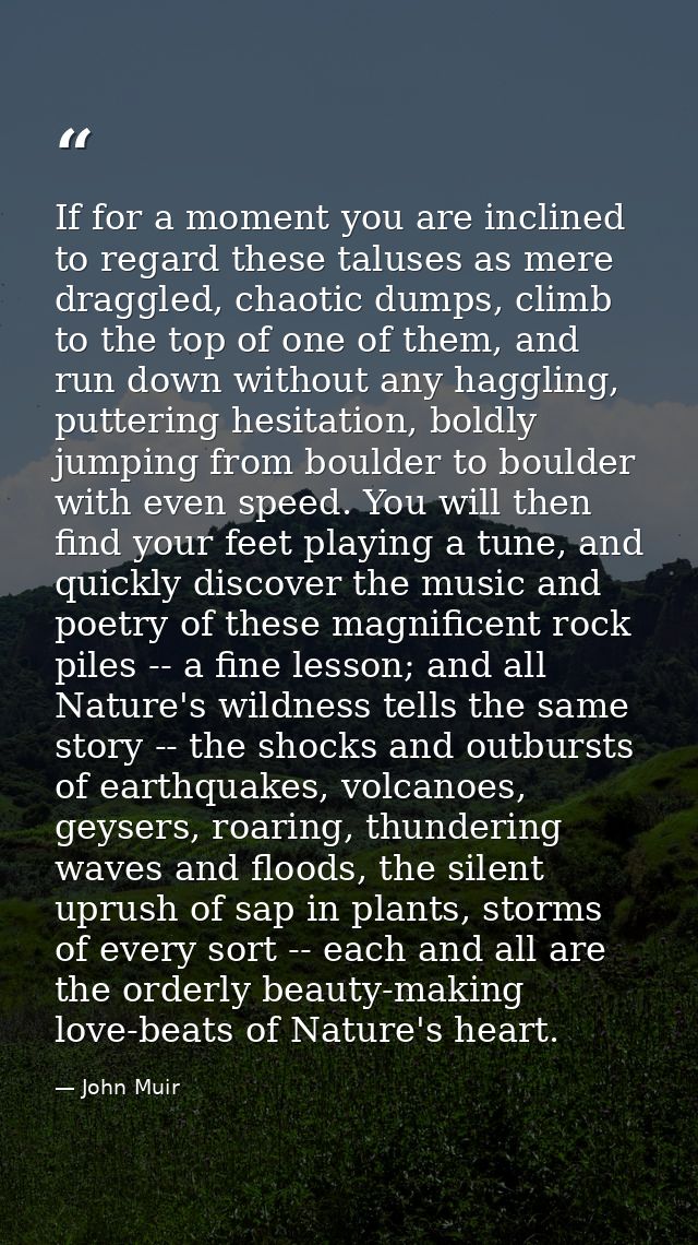 If for a moment you are inclined to regard these taluses as mere draggled, chaotic dumps, climb to the top of one of the — John Muir