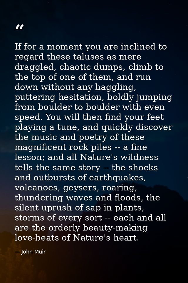 If for a moment you are inclined to regard these taluses as mere draggled, chaotic dumps, climb to the top of one of the — John Muir