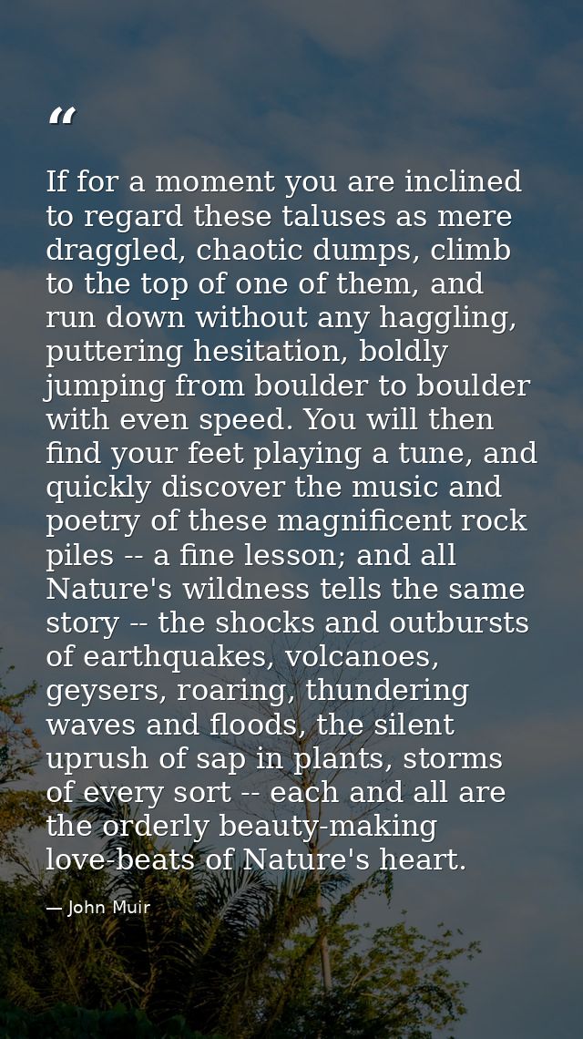 If for a moment you are inclined to regard these taluses as mere draggled, chaotic dumps, climb to the top of one of the — John Muir