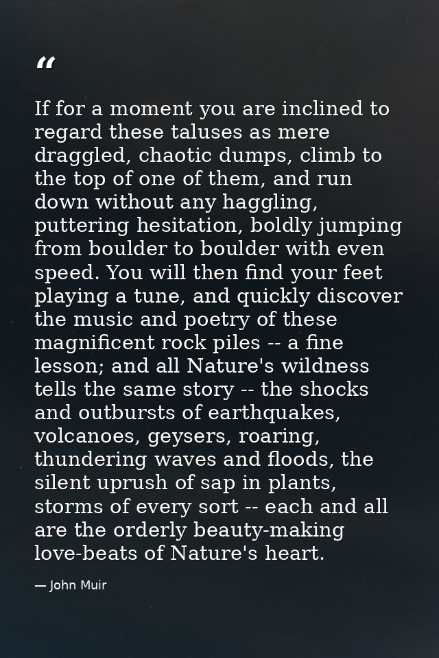 If for a moment you are inclined to regard these taluses as mere draggled, chaotic dumps, climb to the top of one of the — John Muir