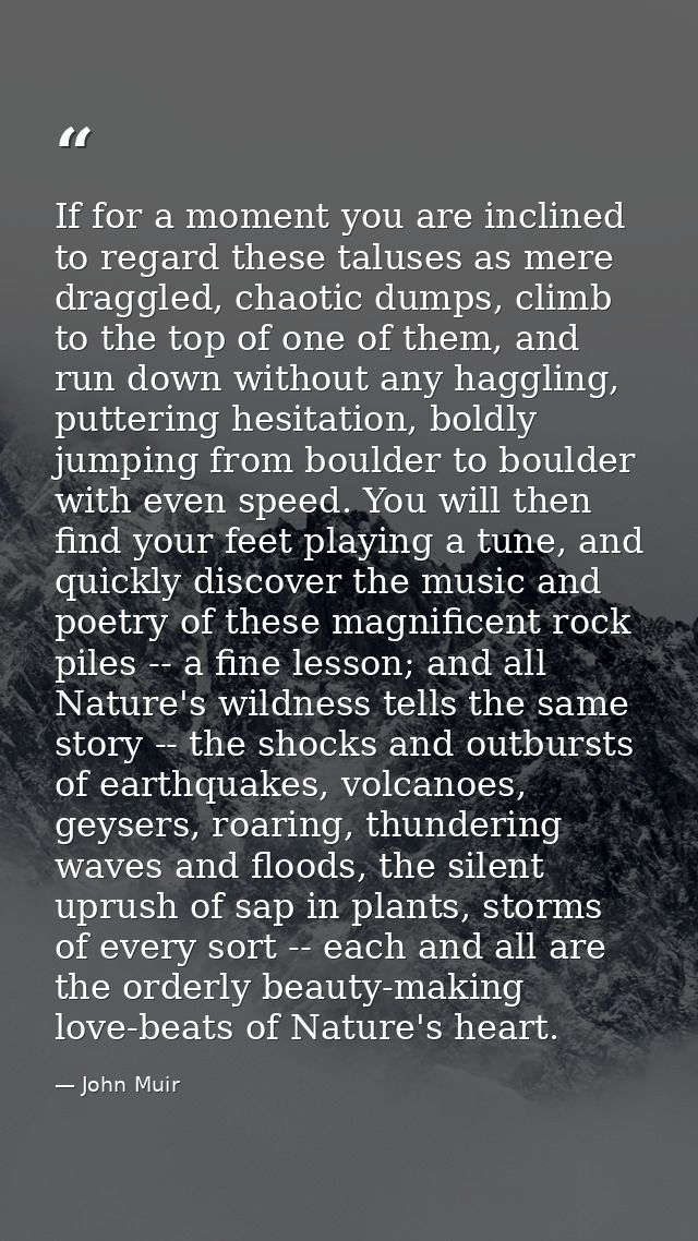If for a moment you are inclined to regard these taluses as mere draggled, chaotic dumps, climb to the top of one of the — John Muir