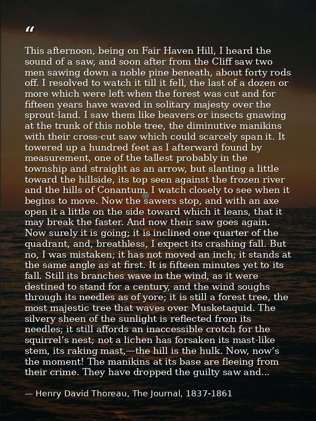 This afternoon, being on Fair Haven Hill, I heard the sound of a saw, and soon after from the Cliff saw two men sawing d — Henry David Thoreau, The Journal, 1837-1861