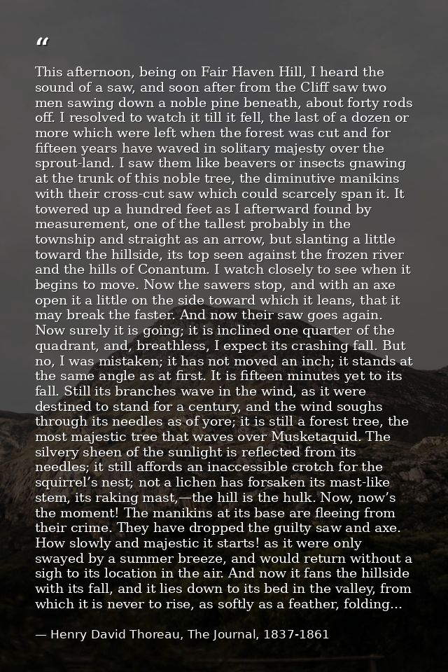 This afternoon, being on Fair Haven Hill, I heard the sound of a saw, and soon after from the Cliff saw two men sawing d — Henry David Thoreau, The Journal, 1837-1861