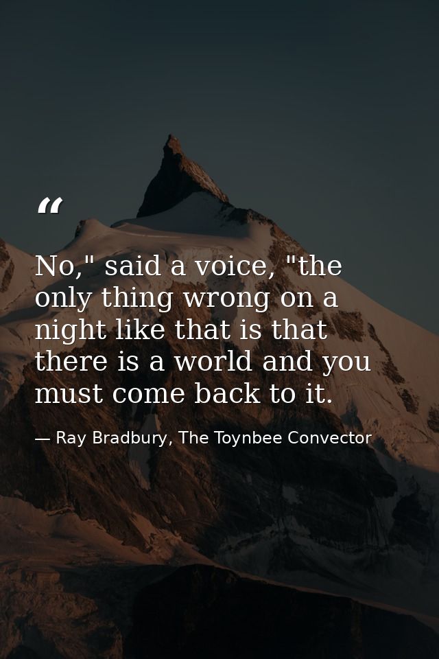 No," said a voice, "the only thing wrong on a night like that is that there is a world and you must come back to it. — Ray Bradbury, The Toynbee Convector