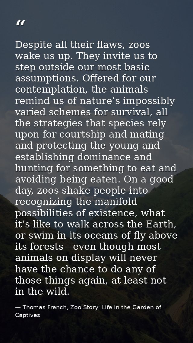 Despite all their flaws, zoos wake us up. They invite us to step outside our most basic assumptions. Offered for our con — Thomas French, Zoo Story: Life in the Garden of Captives