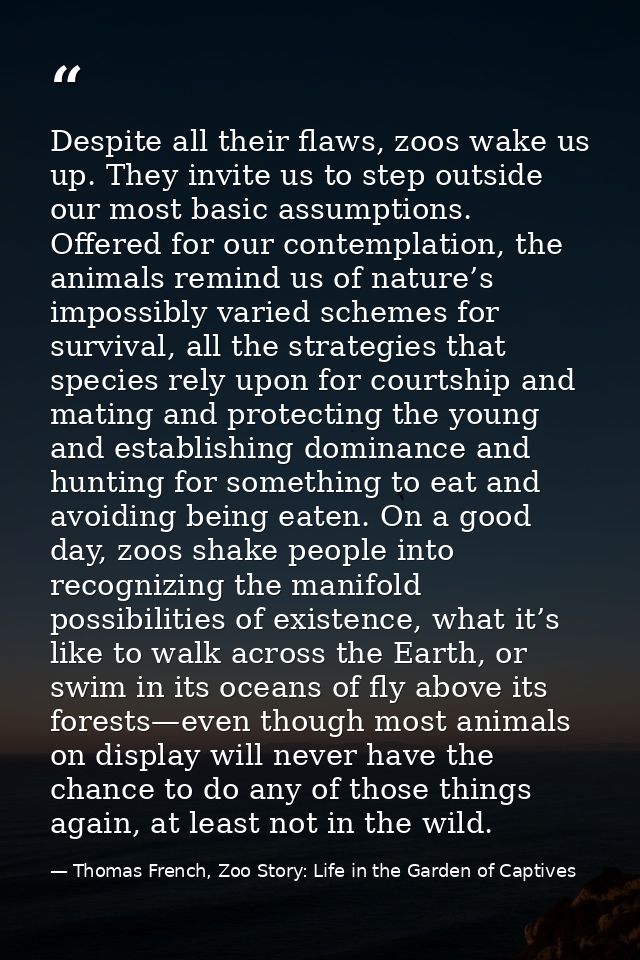 Despite all their flaws, zoos wake us up. They invite us to step outside our most basic assumptions. Offered for our con — Thomas French, Zoo Story: Life in the Garden of Captives
