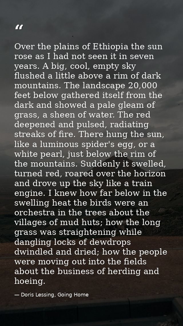 Over the plains of Ethiopia the sun rose as I had not seen it in seven years. A big, cool, empty sky flushed a little ab — Doris Lessing, Going Home