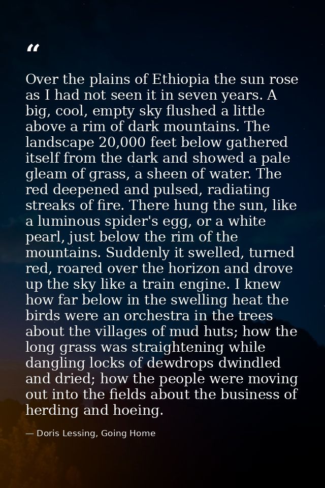 Over the plains of Ethiopia the sun rose as I had not seen it in seven years. A big, cool, empty sky flushed a little ab — Doris Lessing, Going Home