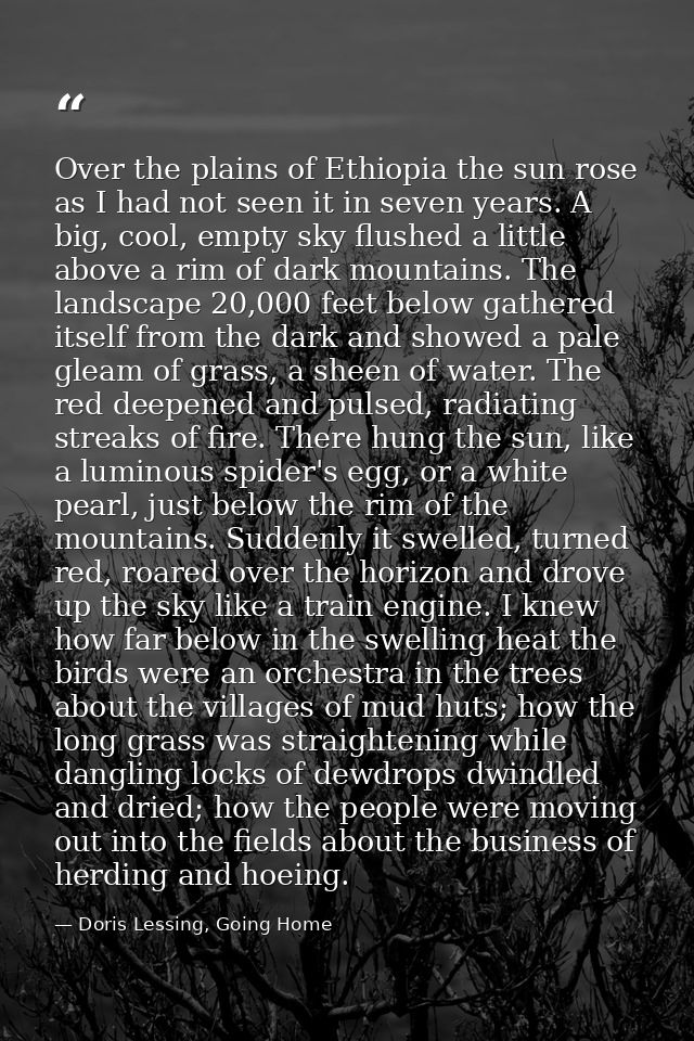 Over the plains of Ethiopia the sun rose as I had not seen it in seven years. A big, cool, empty sky flushed a little ab — Doris Lessing, Going Home