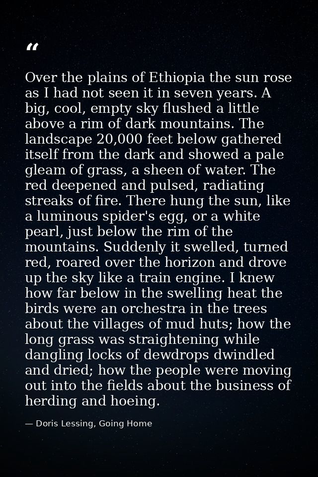 Over the plains of Ethiopia the sun rose as I had not seen it in seven years. A big, cool, empty sky flushed a little ab — Doris Lessing, Going Home