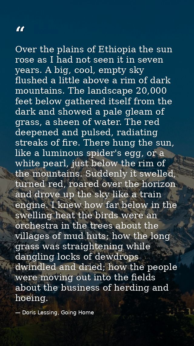Over the plains of Ethiopia the sun rose as I had not seen it in seven years. A big, cool, empty sky flushed a little ab — Doris Lessing, Going Home