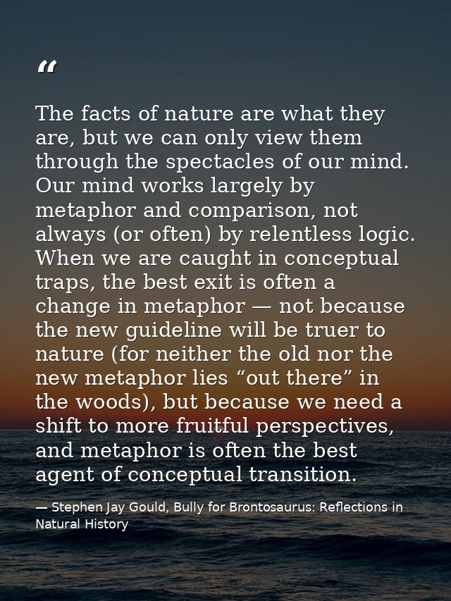 The facts of nature are what they are, but we can only view them through the spectacles of our mind. Our mind works larg — Stephen Jay Gould, Bully for Brontosaurus: Reflections in Natural History