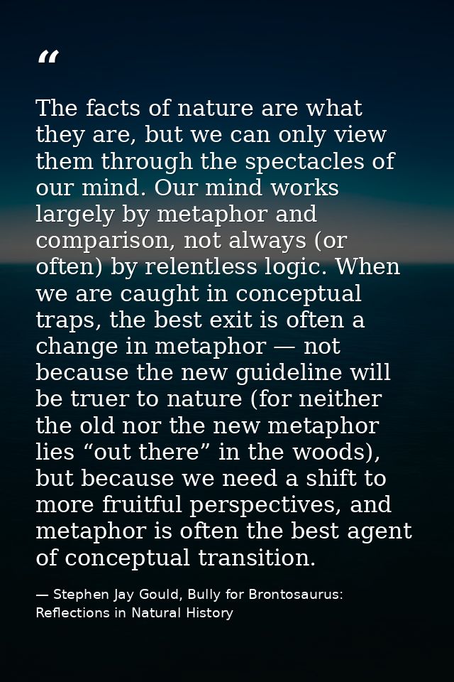 The facts of nature are what they are, but we can only view them through the spectacles of our mind. Our mind works larg — Stephen Jay Gould, Bully for Brontosaurus: Reflections in Natural History