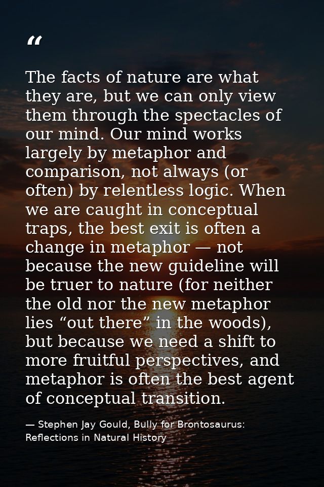 The facts of nature are what they are, but we can only view them through the spectacles of our mind. Our mind works larg — Stephen Jay Gould, Bully for Brontosaurus: Reflections in Natural History