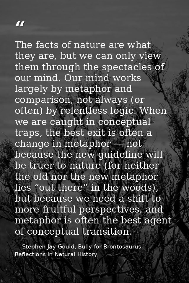 The facts of nature are what they are, but we can only view them through the spectacles of our mind. Our mind works larg — Stephen Jay Gould, Bully for Brontosaurus: Reflections in Natural History