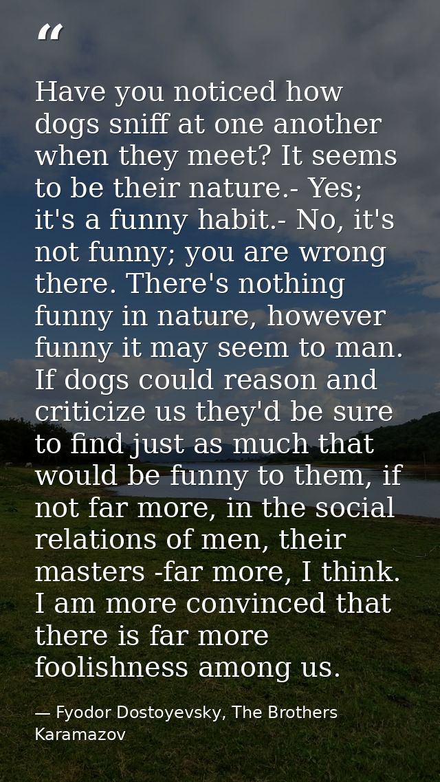 Have you noticed how dogs sniff at one another when they meet? It seems to be their nature.- Yes; it's a funny habit.- N — Fyodor Dostoyevsky, The Brothers Karamazov