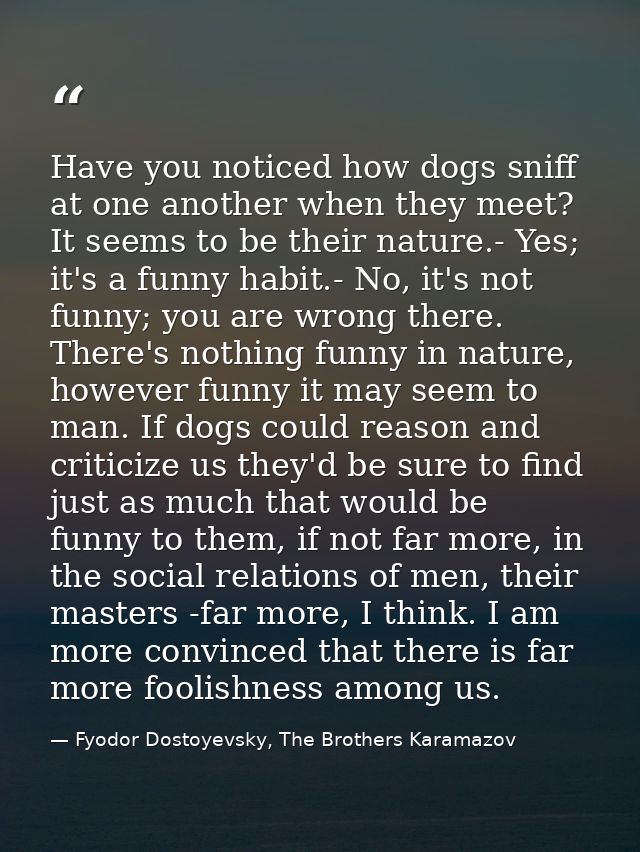 Have you noticed how dogs sniff at one another when they meet? It seems to be their nature.- Yes; it's a funny habit.- N — Fyodor Dostoyevsky, The Brothers Karamazov