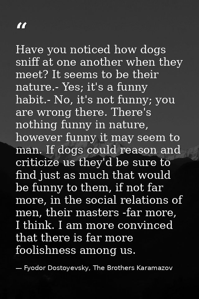 Have you noticed how dogs sniff at one another when they meet? It seems to be their nature.- Yes; it's a funny habit.- N — Fyodor Dostoyevsky, The Brothers Karamazov