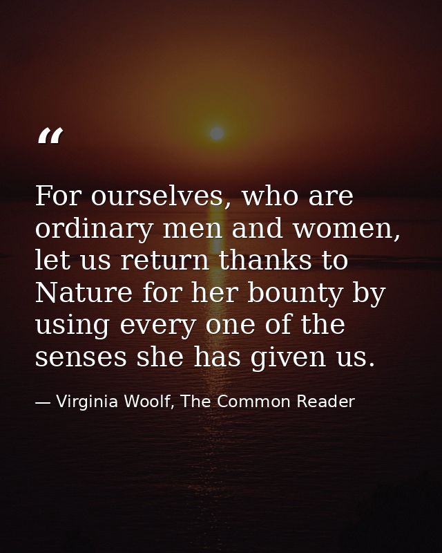 For ourselves, who are ordinary men and women, let us return thanks to Nature for her bounty by using every one of the s — Virginia Woolf, The Common Reader
