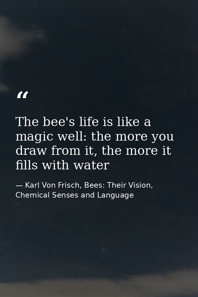The bee's life is like a magic well: the more you draw from it, the more it fills with water — Karl Von Frisch, Bees: Their Vision, Chemical Senses and Language
