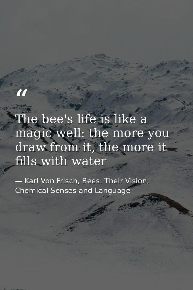 The bee's life is like a magic well: the more you draw from it, the more it fills with water — Karl Von Frisch, Bees: Their Vision, Chemical Senses and Language