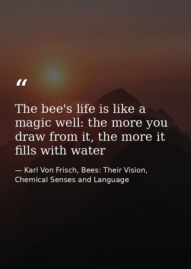 The bee's life is like a magic well: the more you draw from it, the more it fills with water — Karl Von Frisch, Bees: Their Vision, Chemical Senses and Language