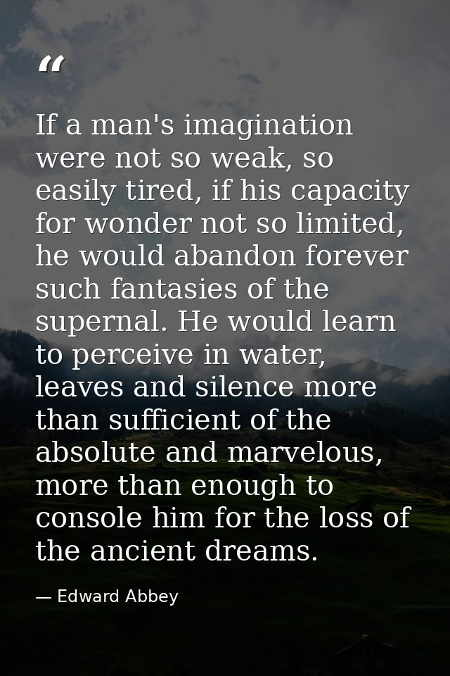 If a man's imagination were not so weak, so easily tired, if his capacity for wonder not so limited, he would abandon fo — Edward Abbey