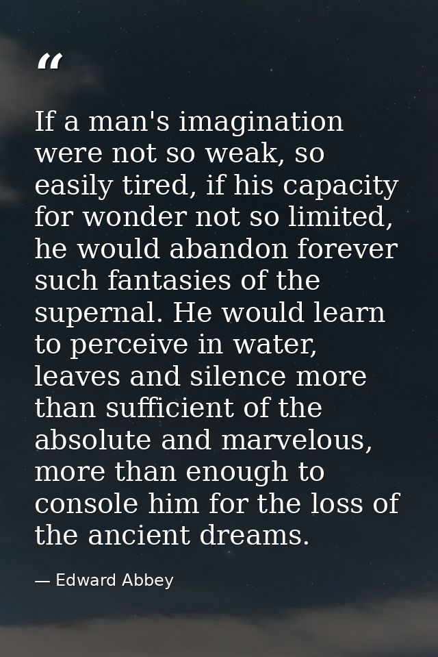 If a man's imagination were not so weak, so easily tired, if his capacity for wonder not so limited, he would abandon fo — Edward Abbey
