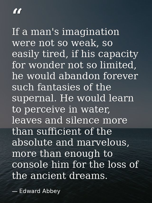 If a man's imagination were not so weak, so easily tired, if his capacity for wonder not so limited, he would abandon fo — Edward Abbey