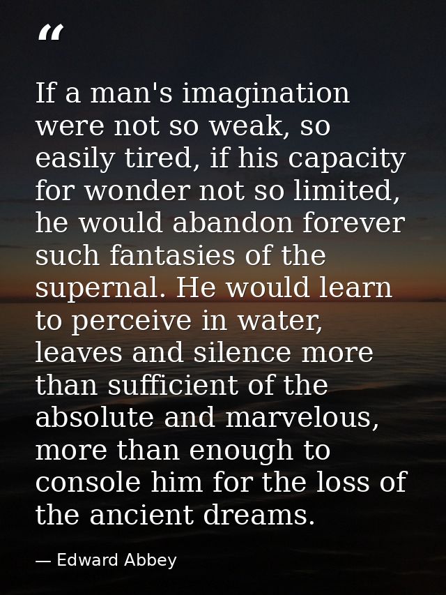 If a man's imagination were not so weak, so easily tired, if his capacity for wonder not so limited, he would abandon fo — Edward Abbey
