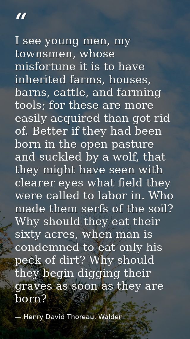 I see young men, my townsmen, whose misfortune it is to have inherited farms, houses, barns, cattle, and farming tools;  — Henry David Thoreau, Walden