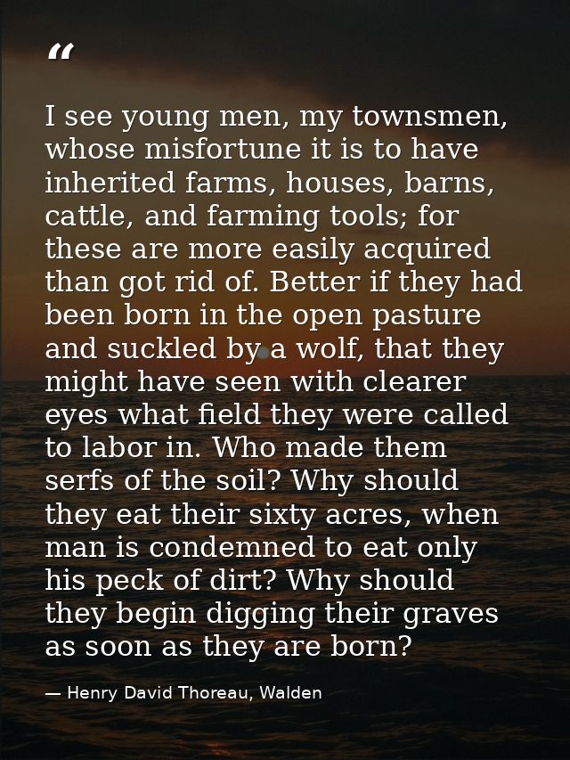 I see young men, my townsmen, whose misfortune it is to have inherited farms, houses, barns, cattle, and farming tools;  — Henry David Thoreau, Walden