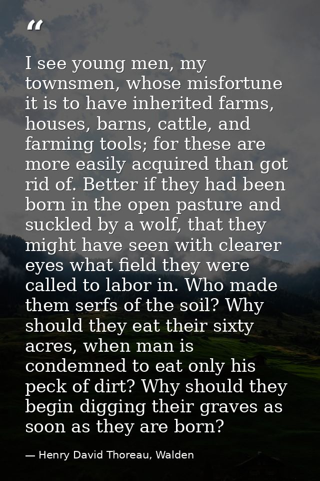 I see young men, my townsmen, whose misfortune it is to have inherited farms, houses, barns, cattle, and farming tools;  — Henry David Thoreau, Walden