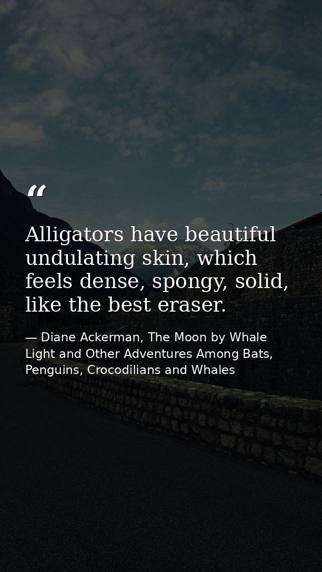 Alligators have beautiful undulating skin, which feels dense, spongy, solid, like the best eraser. — Diane Ackerman, The Moon by Whale Light and Other Adventures Among Bats, Penguins, Crocodilians and Whales