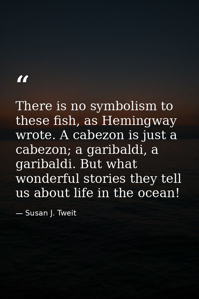 There is no symbolism to these fish, as Hemingway wrote. A cabezon is just a cabezon; a garibaldi, a garibaldi. But what — Susan J. Tweit