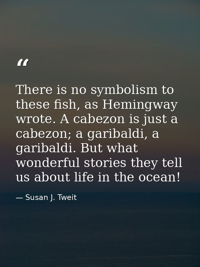 There is no symbolism to these fish, as Hemingway wrote. A cabezon is just a cabezon; a garibaldi, a garibaldi. But what — Susan J. Tweit